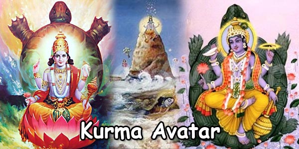 Kurma avatar