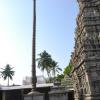 srikurmam_temple_11